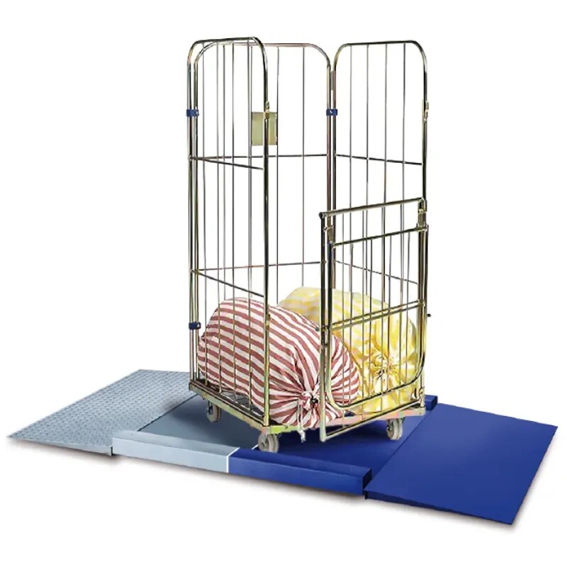 Sclessin Plateforme de Pesage Professionnelle 800x800mm