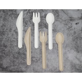 thumbnail of RyanPack Bagasse Gabel – Zuckerrohr – 156 mm – 1000 Stück
