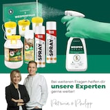 thumbnail of Wespenspray: 4 x 500 ml