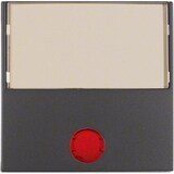 thumbnail of Berker Wippe anth matt 16961606