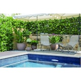 thumbnail of Nicoli vaso Hera Matt  ø cm 40 vaso in resina rotazionale da interno ed esterno Bianco