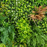 thumbnail of CREATIV green künstliche Pflanze Premium-Blättermatte, ca 100x100x12cm, mit Farnen, Gräsern und Blüten