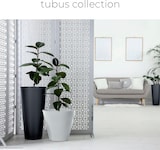 thumbnail of Prosperplast - TUBUS Blumentopf 28,5L - 40x40x37,3cm in Weiß farbe