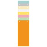 thumbnail of Exacompta - Réf. 13395B - Carton de 12 Paquets de 100 fiches intercalaires horizontales unies perforées sous film 105 x 240 mm assorties