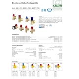 thumbnail of Membran Sicherheitsventil 1/2 x 3/4 Zoll 8 bar Überdruckventil