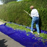 thumbnail of Plane Abdeckplane Gartenplane PVC LKW-Plane Schutzplane mit Ösen 4 x 5 m 650g/m²
