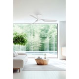 thumbnail of Ventilador de CC blanco LED PEMBA L