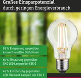 thumbnail of Paulmann Efficient-Line Filament 230V LED Birne E27 Einzelleuchte  1055lm 5,7W 3000K dimmbar Klar 29252