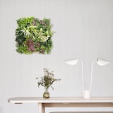 thumbnail of Bonerva | Jardín Vertical Maldivas | Pieza 50x50cm Con Marco | Planta artificial decoración oficina, hotel, restaurante| MAL1220
