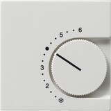 thumbnail of Gira Abdeckung rws 149603