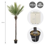 thumbnail of ML-Design – Künstliche Palme – 210 cm | tropische Kunstpflanze im Topf, Kunstbaum wie echt für Wohnzimmer & Büro