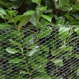 thumbnail of Mallas de Alambre | Valla de Tela Metálica | Malla Hexagonal 25x25mm | Valla para animales y plantas 25 m de largo | Altura 50 cm | Galvanizada 0,6mm