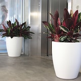 thumbnail of WellHome - Blumentopf "Accord Collection", Ø60cm, bronzefarben