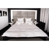 thumbnail of HS43 Daunendecke Bettdecke Decke Oberbett 15 % Daunen - 85 % Federn 155x220 cm 1350g
