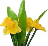 thumbnail of 1 Kunst Blumenbündel Osterglocken 13x25cm Narzissen Blumenstrauß Osterdeko Blumendeko Frühlingsdeko Sommerdeko Gelb Weiß Grün
