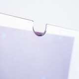 thumbnail of Danieli - 3pz Espositori Da Parete Antigraffio in Policarbonato con Biadesivi - Formato A4 Verticale