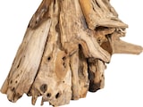 thumbnail of BISCOTTINI Skulptur in form eines pferdekopfes aus teakholz, das aus dem meer zurückgebracht wurde 37x90x96 cm