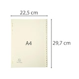 thumbnail of Exacompta - Cod. 1126E - Divisori per raccoglitori ad anelli con 26 tasti alfabetici A-Z - Cartoncino avorio 155 g/mq - Formato A4 - 5 pezzi
