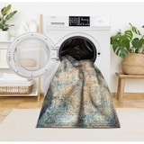 thumbnail of Landon Bedruckter 200x300 Teppich Chenille-Druck Maschinell Hergestellt