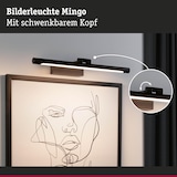 thumbnail of Paulmann LED Bilderleuchte Mingo   3000K 510lm 230V 9,5W  Schwarz 95564