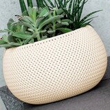 thumbnail of Prosperplast - Runde Pflanztöpfe mit Reservoir Splofy Bowl aus Kunststoff in Anthrazit, 29 x 29 x 19 cm
