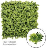 Hojas verdes con distinta tonalidad.