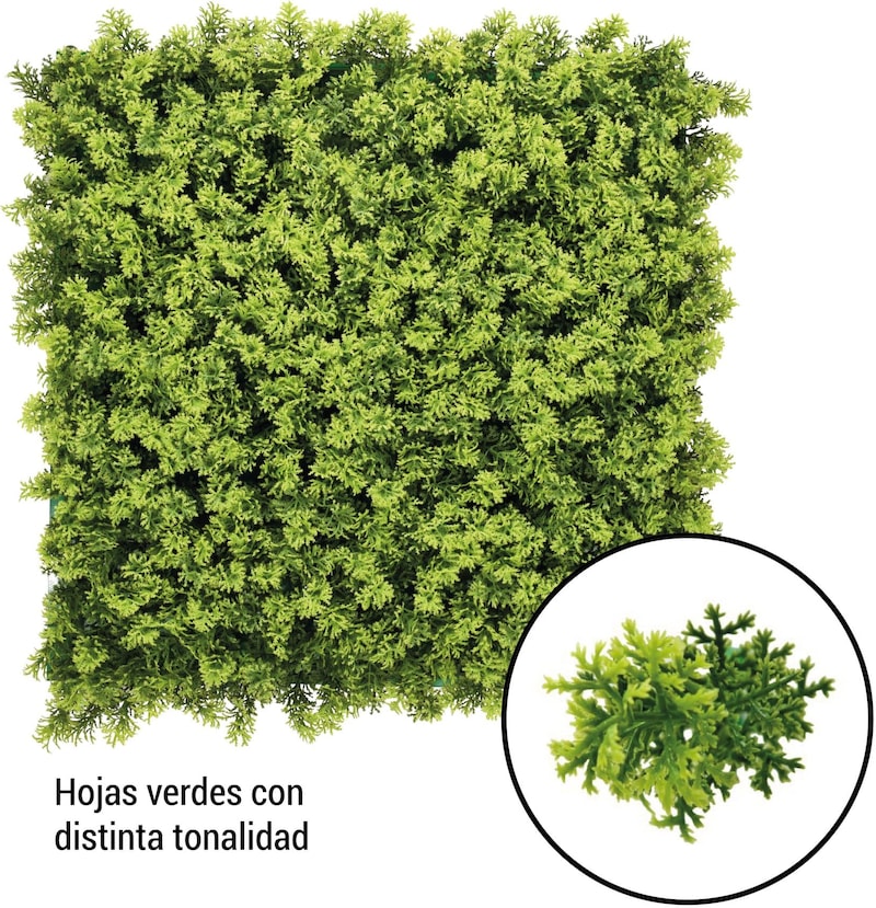 Hojas verdes con distinta tonalidad.