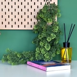 Rama verde con libro y difusor.