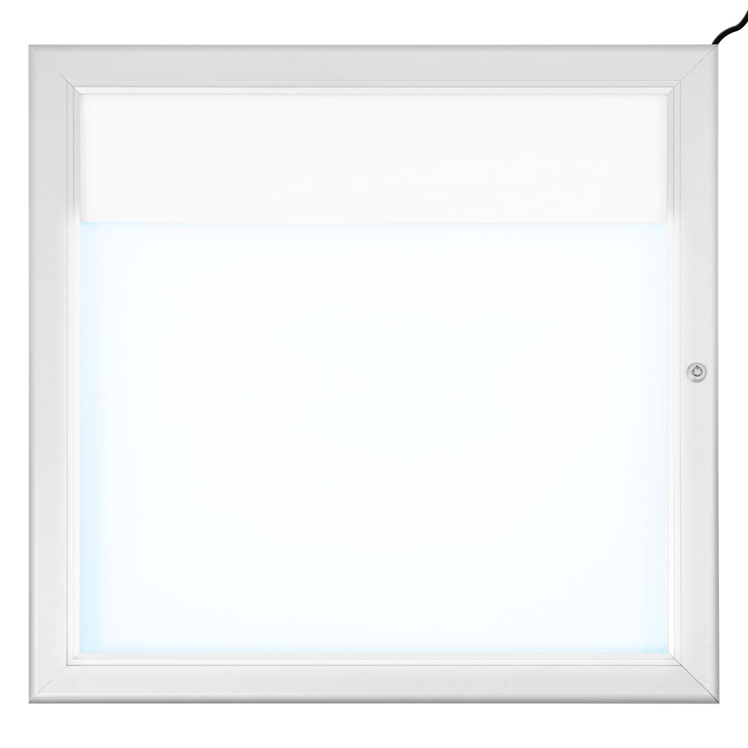 Danieli Store | Tablón de anuncio con cerradura | Tablon magnético de aluminio para exterior, con puerta abatible y panel personalizado (2xA4 LED)