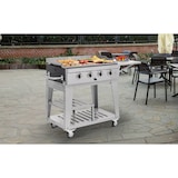 thumbnail of METRO PROFESSIONAL 4-hoofdbranders gasbarbecue, grilloppervlak 50 x 85 cm, verrijdbaar, beschermhoes, staal, zilver