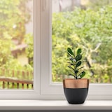 thumbnail of Jinfa 3er-Set Keramik Übertöpfe Blumentöpfe Ton Vase für den Innenbereich | Mattschwarz mit goldenem Finish | Durchmesser 13,5 cm x H 13 cm