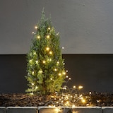 thumbnail of LED Lichterkette Weihnachten 500 bernstein LED 8 Funktionen L: 25m für Außen