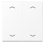 thumbnail of Jung Wippe mit Pfeilsymbolen A 102 P BF WWM A102PBFWWM