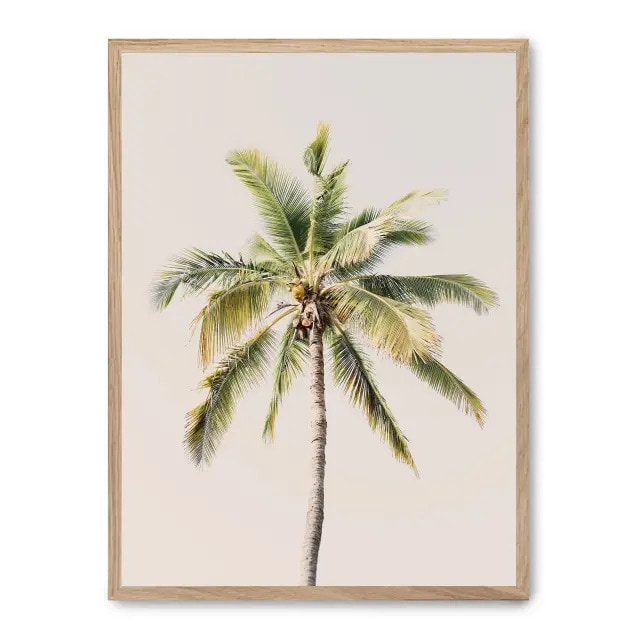 Cuadro palm beach ii Product size: 30x40 cm  impreso en papel de primera calidad de 180gr.