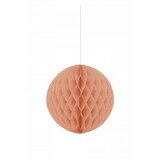 thumbnail of Wabenball koralle 20 cm