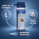 thumbnail of FENOPLAST Fenosol Türschlosspflege PROFI 50 ml