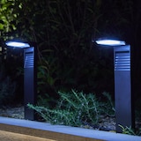 thumbnail of Lot de 8 balises solaires 150LM Noir Lumisky