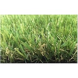 thumbnail of Garden Friend Prato verde H. 200 x L. 2000 cm  Royal 35 mm