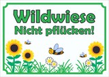 thumbnail of Schild Wildwiese Nicht pflücken waagerecht A1 (594x841mm)