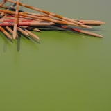 thumbnail of Restootab - Mesa 70x70cm - modelo Bazila verde cantos madera