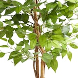 thumbnail of tectake Árvore de ficus artificial Fida, textura realista  Verde