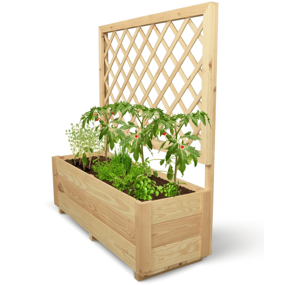 Pflanzkasten mit Rankgitter THIO Inkl. Vlies & Handschuhe, Hochbeet mit Rankhilfe Blumenkasten für Kletterpflanzen hängende Körbe, 98cm Breit