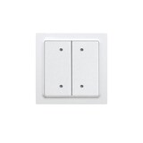 thumbnail of Eltako Bus-2- oder 4-Kanal-Taster B4T55E-pm 30055652