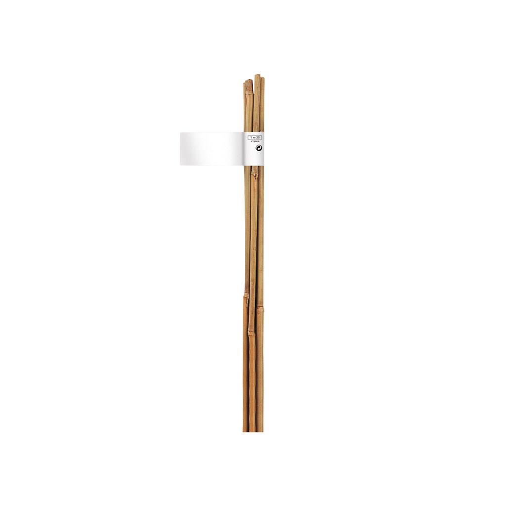 Tutor natural de bambu Tut.bamboo (2) Ø12-14mmx1,5m Natural
