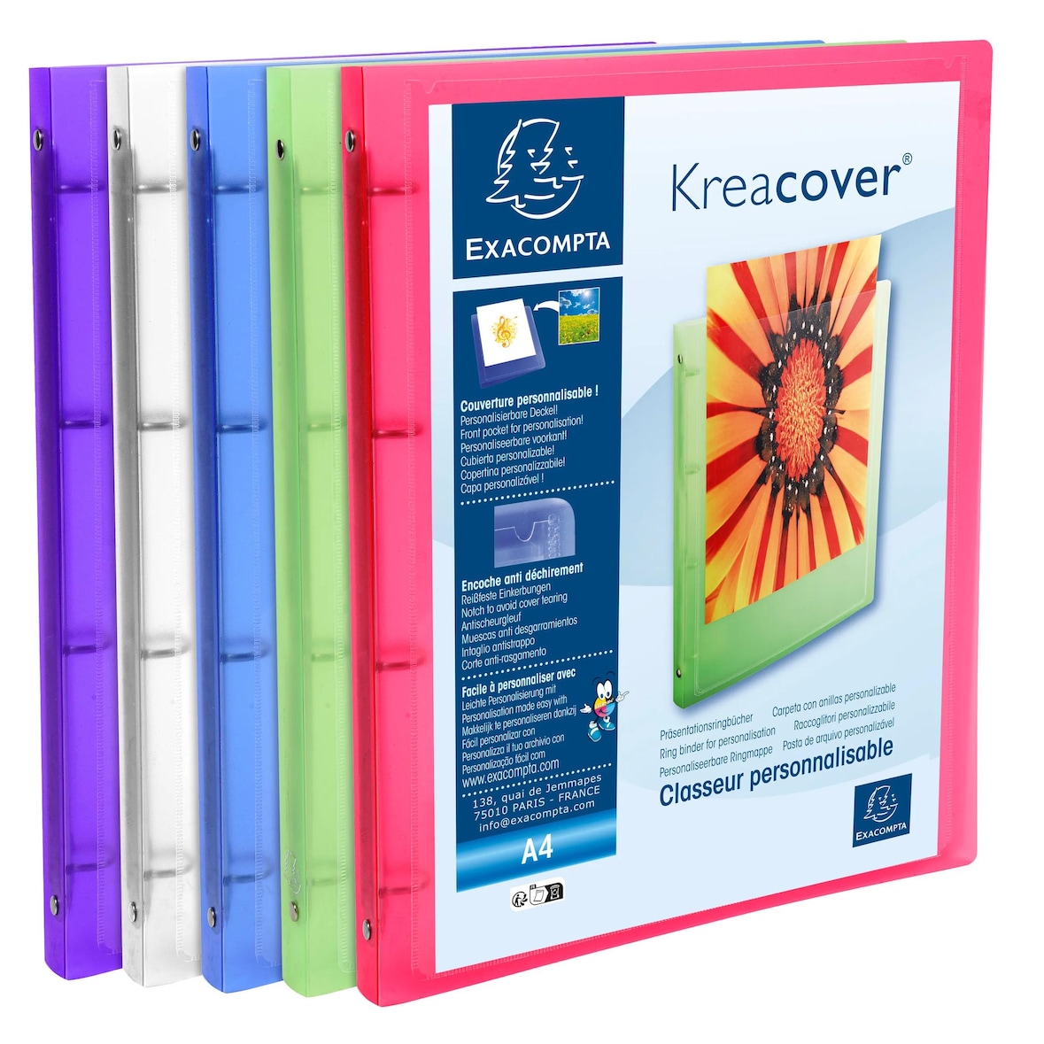 Exacompta - réf. 51969E - Carton de 20 classeurs PP personnalisables 1 poche - 4 anneaux 15mm - Dos 20mm - 32 x 25 cm - A4 - Assortis