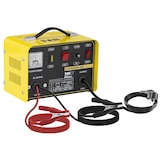 thumbnail of MSW Caricabatterie per auto professionale - 12/24 V - 8/12 A