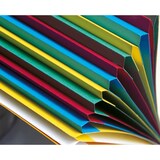 thumbnail of Exacompta - Réf. 5324E - Carton de 4 trieurs HARMONIKA - avec élastiques et fenêtres découpées   - 24 compartiments - A4  - couleurs assorties
