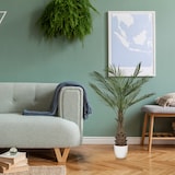 thumbnail of Planta artificial / árbol artificial DRACAENA palmera 120 cm verde hjh OFFICE