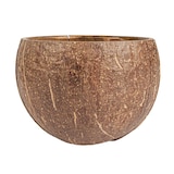 thumbnail of Garcia de Pou 5 Unités - Bols 200 Ml Ø9X6 Cm Naturel Coco