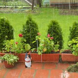 thumbnail of Relaxdays Regenmesser Zwerg, wetterbeständig, analoger Regenanzeiger, H x B x T: 18 x 8,5 x 8 cm, Gartendeko, mehrfarbig